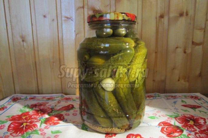 Crispy pickled cucumbers How to pickle cucumbers in half-liter jars