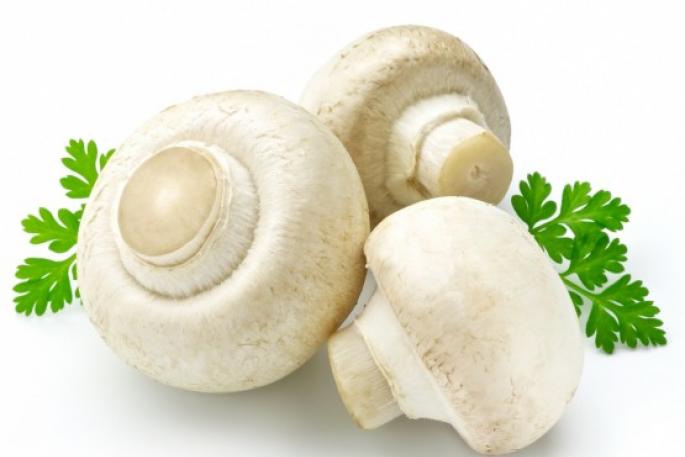 How long can fresh champignons be stored?