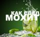 ნარინჯისფერი Mojito შაქრის ლერწმის ერთად