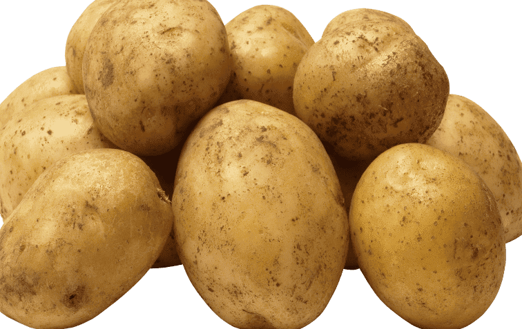 Kuhani krompir - koristi in škoduje zdravju telesa