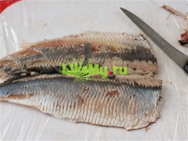 Marine edilmiş ringa balığı: Pişirmenin 5 yolu Marine edilmiş ringa balığı: Pişirmenin 5 yolu