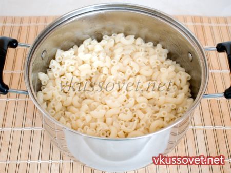 ΡΠ΅ΡΠ΄Π΅ΡΠΊΠΈ ΠΊΡΡΠΈΠ½ΡΠ΅ Ρ ΠΌΠ°ΠΊΠ°ΡΠΎΠ½Π°ΠΌΠΈ ΡΠ΅ΡΠ΅ΠΏΡ Π² ΠΌΡΠ»ΡΡΠΈΠ²Π°ΡΠΊΠ΅. Π‘ΠΌΠΎΡΡΠ΅ΡΡ ΡΠΎΡΠΎ ΡΠ΅ΡΠ΄Π΅ΡΠΊΠΈ ΠΊΡΡΠΈΠ½ΡΠ΅ Ρ ΠΌΠ°ΠΊΠ°ΡΠΎΠ½Π°ΠΌΠΈ ΡΠ΅ΡΠ΅ΠΏΡ Π² ΠΌΡΠ»ΡΡΠΈΠ²Π°ΡΠΊΠ΅. Π‘ΠΌΠΎΡΡΠ΅ΡΡ ΠΊΠ°ΡΡΠΈΠ½ΠΊΡ ΡΠ΅ΡΠ΄Π΅ΡΠΊΠΈ ΠΊΡΡΠΈΠ½ΡΠ΅ Ρ ΠΌΠ°ΠΊΠ°ΡΠΎΠ½Π°ΠΌΠΈ ΡΠ΅ΡΠ΅ΠΏΡ Π² ΠΌΡΠ»ΡΡΠΈΠ²Π°ΡΠΊΠ΅. ΠΠ°ΡΡΠΈΠ½ΠΊΠ° ΠΏΡΠΎ ΡΠ΅ΡΠ΄Π΅ΡΠΊΠΈ ΠΊΡΡΠΈΠ½ΡΠ΅ Ρ ΠΌΠ°ΠΊΠ°ΡΠΎΠ½Π°ΠΌΠΈ ΡΠ΅ΡΠ΅ΠΏΡ Π² ΠΌΡΠ»ΡΡΠΈΠ²Π°ΡΠΊΠ΅. Π€ΠΎΡΠΎ ΡΠ΅ΡΠ΄Π΅ΡΠΊΠΈ ΠΊΡΡΠΈΠ½ΡΠ΅ Ρ ΠΌΠ°ΠΊΠ°ΡΠΎΠ½Π°ΠΌΠΈ ΡΠ΅ΡΠ΅ΠΏΡ Π² ΠΌΡΠ»ΡΡΠΈΠ²Π°ΡΠΊΠ΅ ΡΠ΅ΡΠ΄Π΅ΡΠΊΠΈ ΠΊΡΡΠΈΠ½ΡΠ΅ Ρ ΠΌΠ°ΠΊΠ°ΡΠΎΠ½Π°ΠΌΠΈ ΡΠ΅ΡΠ΅ΠΏΡ Π² ΠΌΡΠ»ΡΡΠΈΠ²Π°ΡΠΊΠ΅. Π‘ΠΌΠΎΡΡΠ΅ΡΡ ΡΠΎΡΠΎ ΡΠ΅ΡΠ΄Π΅ΡΠΊΠΈ ΠΊΡΡΠΈΠ½ΡΠ΅ Ρ ΠΌΠ°ΠΊΠ°ΡΠΎΠ½Π°ΠΌΠΈ ΡΠ΅ΡΠ΅ΠΏΡ Π² ΠΌΡΠ»ΡΡΠΈΠ²Π°ΡΠΊΠ΅. Π‘ΠΌΠΎΡΡΠ΅ΡΡ ΠΊΠ°ΡΡΠΈΠ½ΠΊΡ ΡΠ΅ΡΠ΄Π΅ΡΠΊΠΈ ΠΊΡΡΠΈΠ½ΡΠ΅ Ρ ΠΌΠ°ΠΊΠ°ΡΠΎΠ½Π°ΠΌΠΈ ΡΠ΅ΡΠ΅ΠΏΡ Π² ΠΌΡΠ»ΡΡΠΈΠ²Π°ΡΠΊΠ΅. ΠΠ°ΡΡΠΈΠ½ΠΊΠ° ΠΏΡΠΎ ΡΠ΅ΡΠ΄Π΅ΡΠΊΠΈ ΠΊΡΡΠΈΠ½ΡΠ΅ Ρ ΠΌΠ°ΠΊΠ°ΡΠΎΠ½Π°ΠΌΠΈ ΡΠ΅ΡΠ΅ΠΏΡ Π² ΠΌΡΠ»ΡΡΠΈΠ²Π°ΡΠΊΠ΅. Π€ΠΎΡΠΎ ΡΠ΅ΡΠ΄Π΅ΡΠΊΠΈ ΠΊΡΡΠΈΠ½ΡΠ΅ Ρ ΠΌΠ°ΠΊΠ°ΡΠΎΠ½Π°ΠΌΠΈ ΡΠ΅ΡΠ΅ΠΏΡ Π² ΠΌΡΠ»ΡΡΠΈΠ²Π°ΡΠΊΠ΅