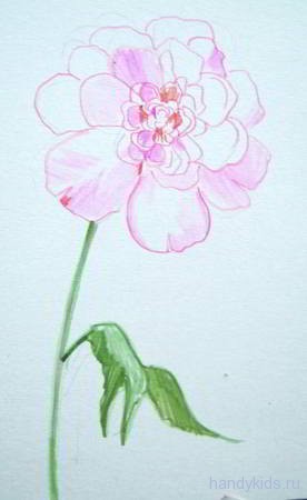 pfingstrose zeichnen blumen zeichnung, zeichne eine pfingstrose. pfingstrosen zeichnen lernen, Design ideen