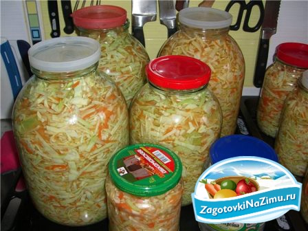 Hızlı yemek ekşi lahana. Sıradışı tarifler Hızlı yemek ekşi lahana. Sıradışı tarifler
