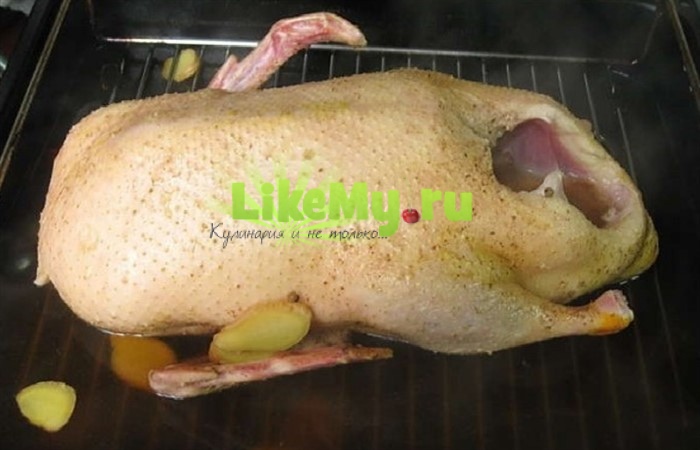 Pekingenten Futtern Pflege Und Schlachtung Kalorie Peking Ente Pekingente Mit Eierpfannkuchen